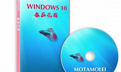 番茄花园windows xp开关机_番茄