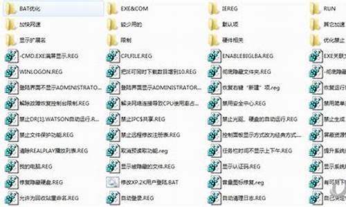 xp优化900项注册表文件_优化注册表的软件
